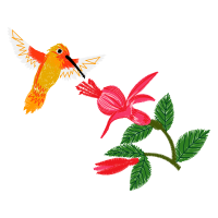 Rufous Hummingbird Animals