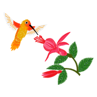 Rufous Hummingbird Animals