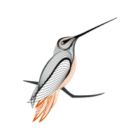 Rufous Hummingbird Animals Rufous Hummingbird Animals