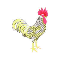 Sandpaper Animals Sandpaper Animals