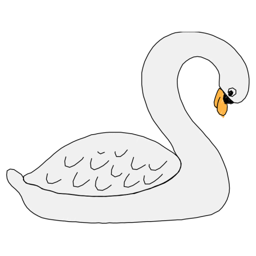 Seaducks Animals Seaducks Animals