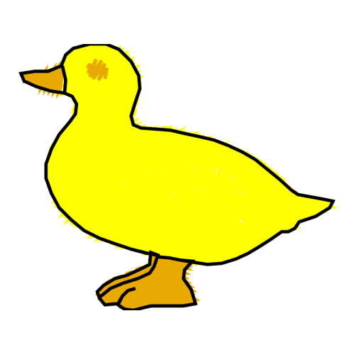 Seaducks Animals Seaducks Animals