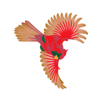 Sena Animals Sena Animals