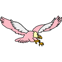 Sharp Shinned Hawk Animals Sharp Shinned Hawk Animals