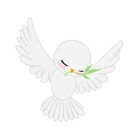 Sharp Shinned Hawk Animals Sharp Shinned Hawk Animals