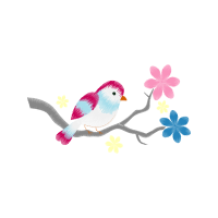 Shorebirds Animals Shorebirds Animals