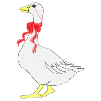 Shorebirds Animals Shorebirds Animals