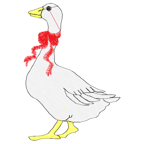 Shorebirds Animals Shorebirds Animals