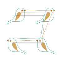 Shorebirds Animals Shorebirds Animals