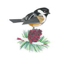 Shortleaf Pine Animals Shortleaf Pine Animals