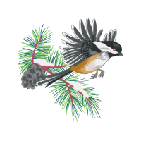 Shortleaf Pine Animals