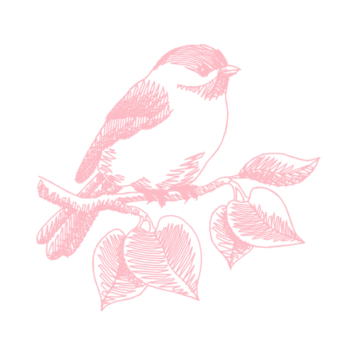 Shrike Animals Shrike Animals