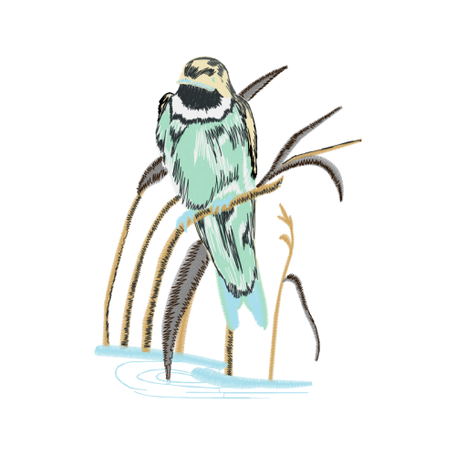 Shrike Animals Shrike Animals