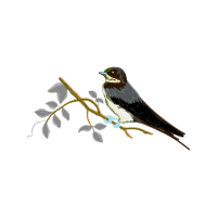 Sitka Spruce Animals