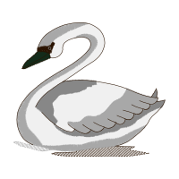 Sketch Animals Sketch Animals