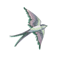 Sketch Animals Sketch Animals