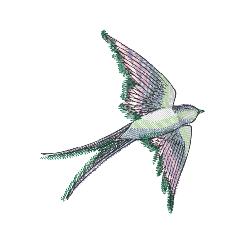 Sketch Animals Sketch Animals