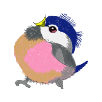 Snares Penguin Animals