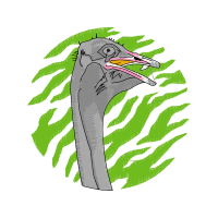 Spotted Sandpiper Animals Spotted Sandpiper Animals