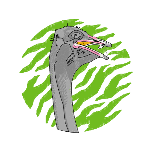 Spotted Sandpiper Animals Spotted Sandpiper Animals