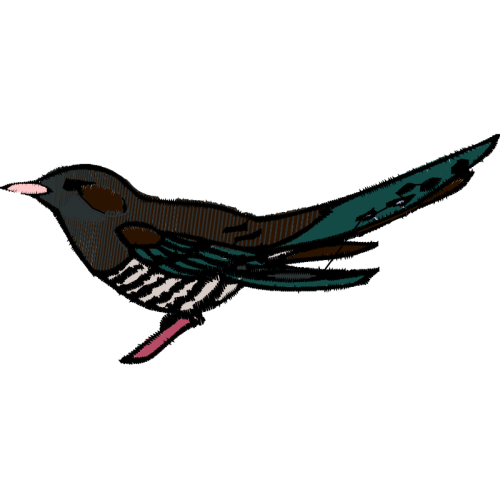 Starling Animals Starling Animals