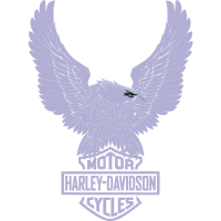 Steller S Jay Animals Steller S Jay Animals