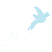 Stock Dove Animals Stock Dove Animals