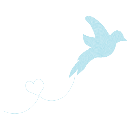 Stock Dove Animals Stock Dove Animals