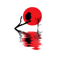 Stock Photography Animals Stock Photography Animals