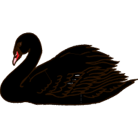 Stork Animals Stork Animals