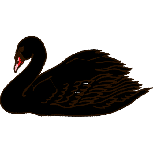 Stork Animals Stork Animals