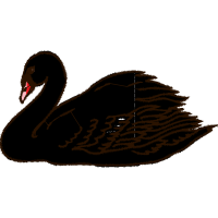 Stork Animals Stork Animals