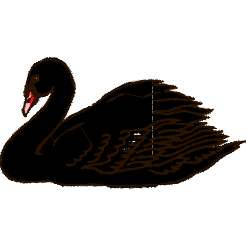 Stork Animals Stork Animals