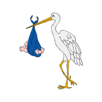 Stork Animals