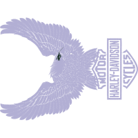 Stork Animals Stork Animals