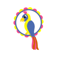 Sulphur Crested Cockatoo Animals