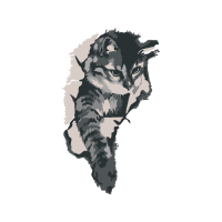 Swallowtail Butterfly Animals Swallowtail Butterfly Animals