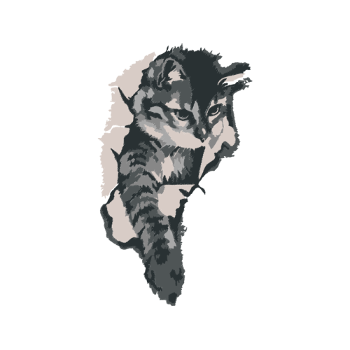 Swallowtail Butterfly Animals Swallowtail Butterfly Animals