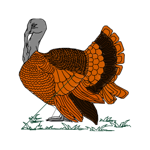 T Rkiye Animals T Rkiye Animals