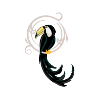 Toucans Animals Toucans Animals