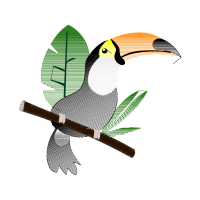 Toucans Animals Toucans Animals