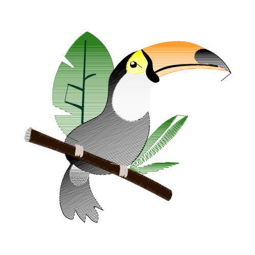 Toucans Animals Toucans Animals