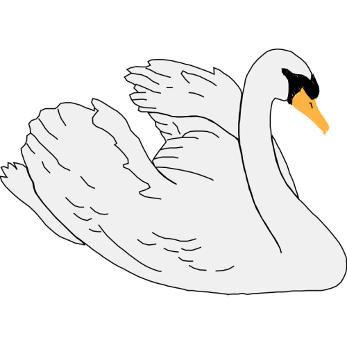 Tundra Swan Animals Tundra Swan Animals