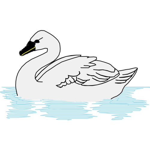 Tundra Swan Animals Tundra Swan Animals