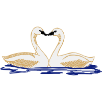 Tundra Swan Animals Tundra Swan Animals