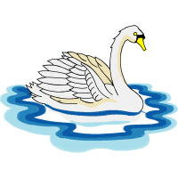 Tundra Swan Animals Tundra Swan Animals