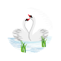 Tundra Swan Animals Tundra Swan Animals