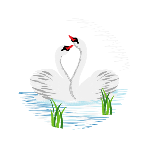 Tundra Swan Animals Tundra Swan Animals