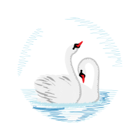 Tundra Swan Animals Tundra Swan Animals