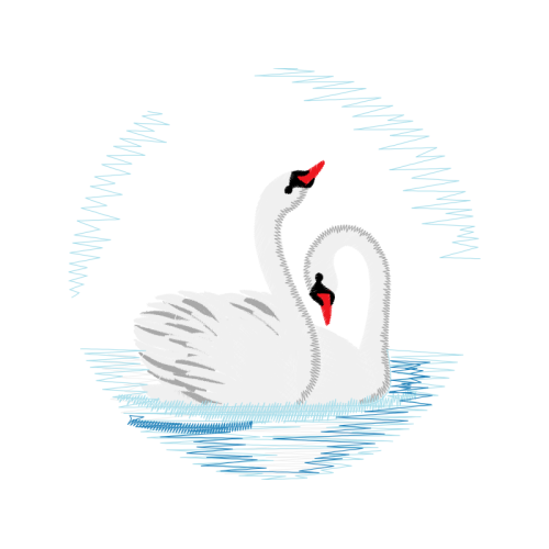 Tundra Swan Animals Tundra Swan Animals